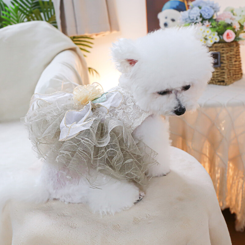 1 vnt. naminių gyvūnėlių drabužiai pavasario ir rudens kamelijos nėrinių sijoninė vestuvinė suknelė Princesė suknelė tinka mažiems ir vidutinio dydžio šunims