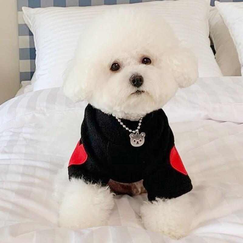 Madingi šunų drabužiai Meilė Spausdinti Šunų megztiniai Rudens šuniukų megztiniai Mieli Minkšti Kačių megztiniai Naminių gyvūnėlių megztiniai Bichon Frise šunų reikmenys