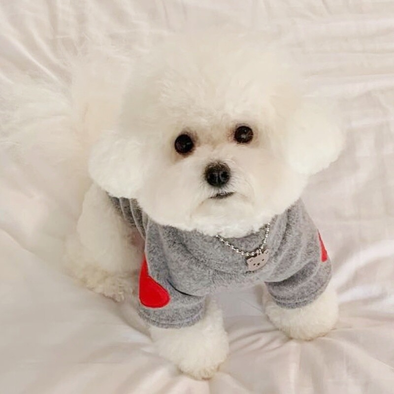 Madingi šunų drabužiai Meilė Spausdinti Šunų megztiniai Rudens šuniukų megztiniai Mieli Minkšti Kačių megztiniai Naminių gyvūnėlių megztiniai Bichon Frise šunų reikmenys
