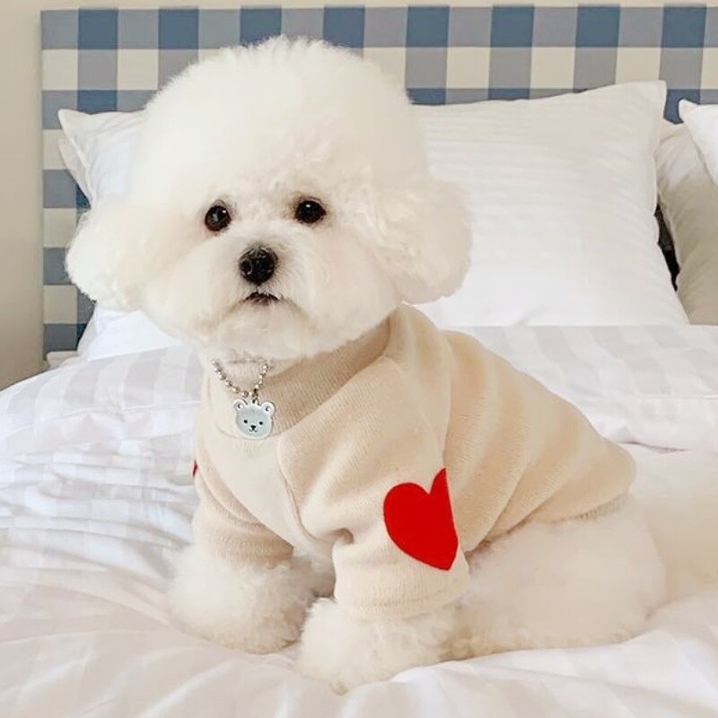 Madingi šunų drabužiai Meilė Spausdinti Šunų megztiniai Rudens šuniukų megztiniai Mieli Minkšti Kačių megztiniai Naminių gyvūnėlių megztiniai Bichon Frise šunų reikmenys