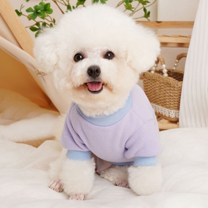 Šilti pliušiniai šunų drabužiai mažiems šunims Madingi šunų megztiniai Madingi šuniukų megztiniai Mieli minkšti kačių megztiniai naminiai megztiniai Šunų komplektai
