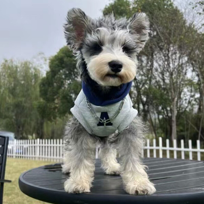 Hanoră de modă pentru câini, iarnă, caldă, pisică, haine pentru câini, hanorac moale, haină pentru câini, de talie mică, mijlocie, haină pentru animale de companie, vreme rece, Chihuahua Pug