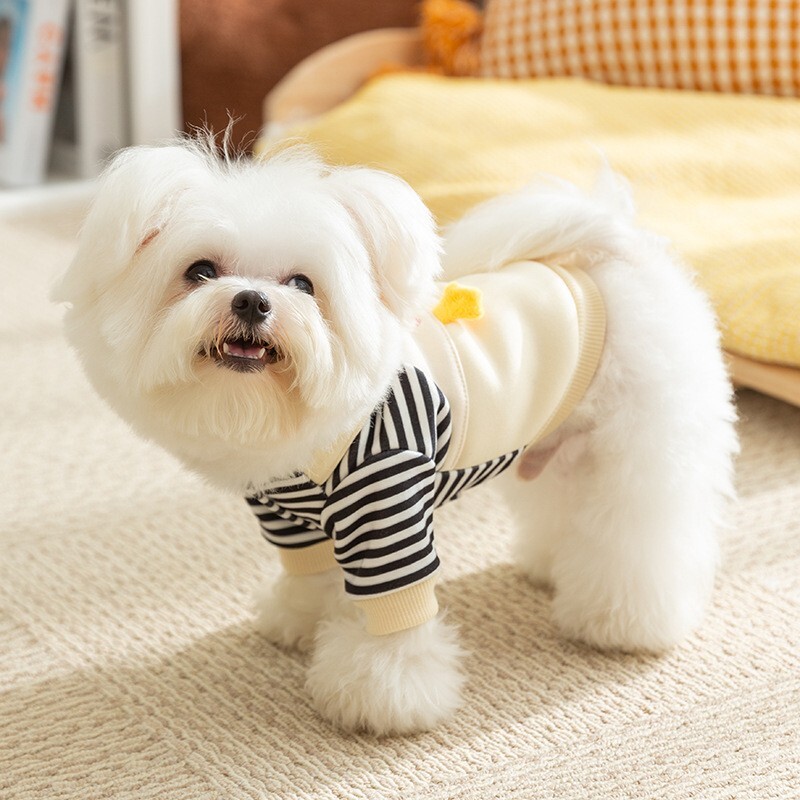 Hanorace pentru câini subțiri, toamnă iarnă, haine drăguțe pentru câini, 2024, ținută pentru fete, haină pentru câini, cu inel în D, hanorac pentru cățeluș, jachetă chihuahua