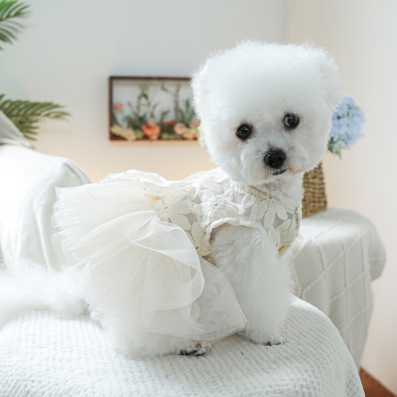 1 gab mājdzīvnieku apģērbs pavasara un rudens balto ziedu pasaku kāzu kleita Princeses kleita, kas piemērota maziem un vidējiem suņiem