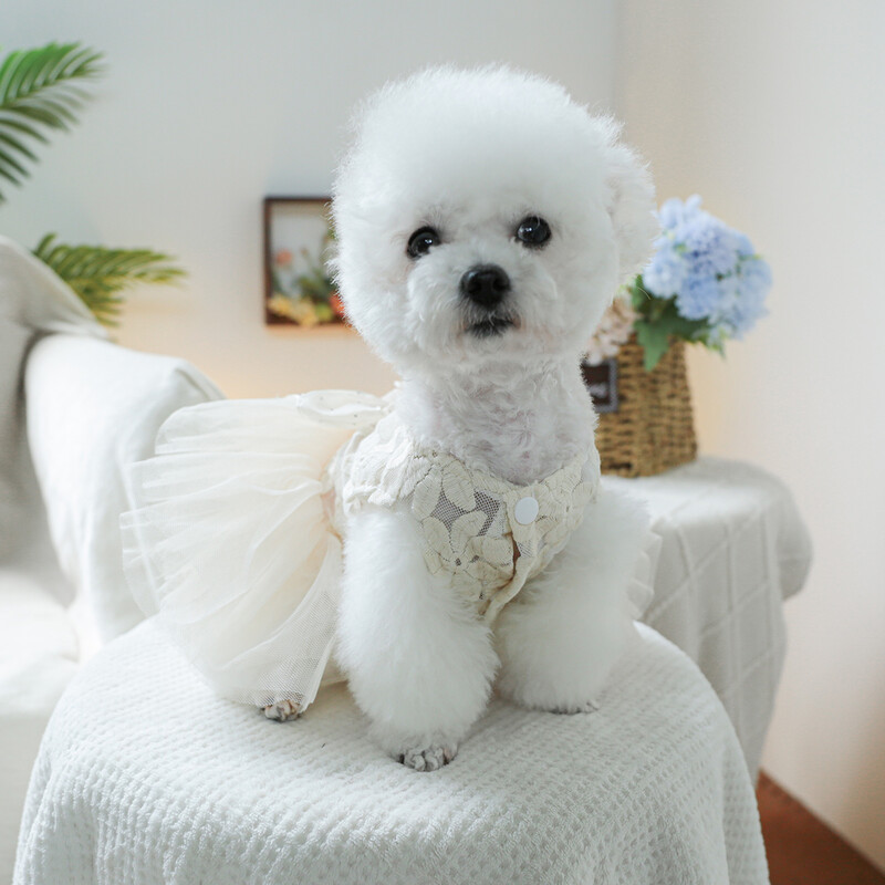 1 gab mājdzīvnieku apģērbs pavasara un rudens balto ziedu pasaku kāzu kleita Princeses kleita, kas piemērota maziem un vidējiem suņiem