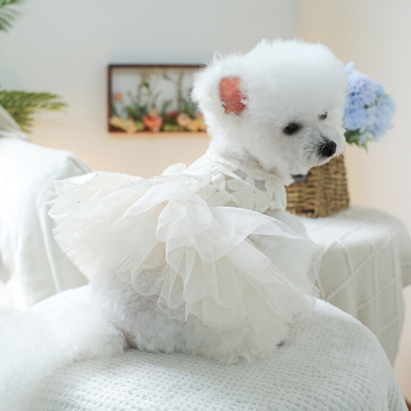 1 gab mājdzīvnieku apģērbs pavasara un rudens balto ziedu pasaku kāzu kleita Princeses kleita, kas piemērota maziem un vidējiem suņiem