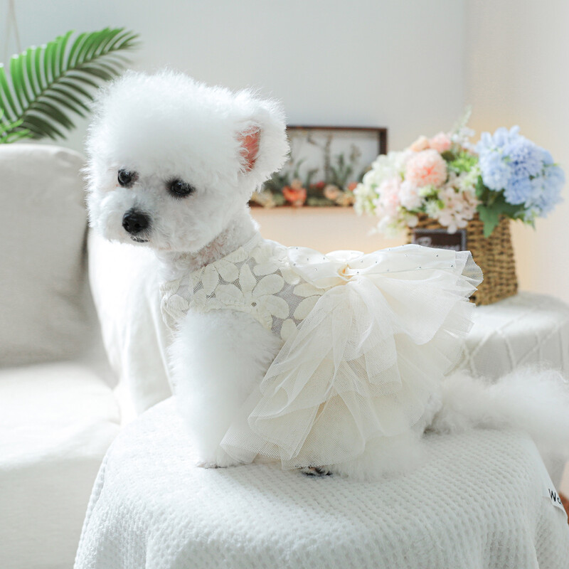 1 gab mājdzīvnieku apģērbs pavasara un rudens balto ziedu pasaku kāzu kleita Princeses kleita, kas piemērota maziem un vidējiem suņiem