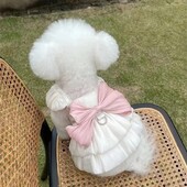 Mada Vasaros naminiams gyvūnėliams lankelis šunų drabužiai Sijonas šuniuko suknelės Meškiukas Šuo Katė, išeinanti vilkti Ploni Apsauginiai Nuo saulės Apranga augintiniams