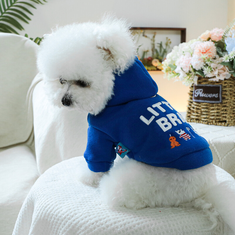 1 vnt naminių gyvūnėlių drabužiai pavasario ir rudens aksominės mėlynos spalvos „Little Brother Hoodie“ kepuraitė, tinkanti mažiems ir vidutinio dydžio šunims