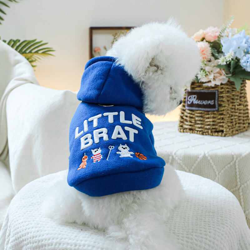 1 vnt naminių gyvūnėlių drabužiai pavasario ir rudens aksominės mėlynos spalvos „Little Brother Hoodie“ kepuraitė, tinkanti mažiems ir vidutinio dydžio šunims