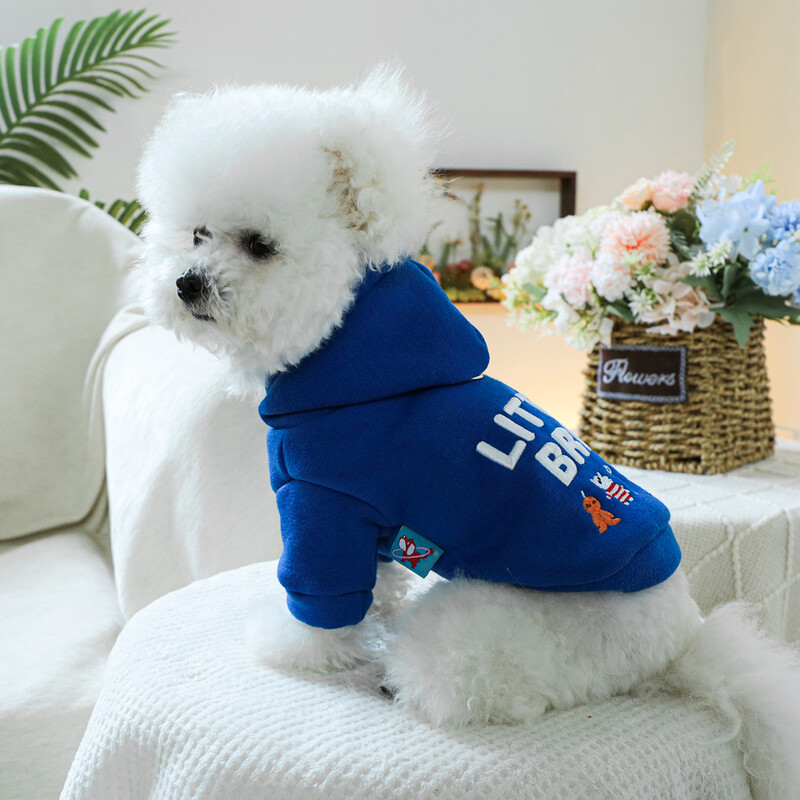 1 vnt naminių gyvūnėlių drabužiai pavasario ir rudens aksominės mėlynos spalvos „Little Brother Hoodie“ kepuraitė, tinkanti mažiems ir vidutinio dydžio šunims