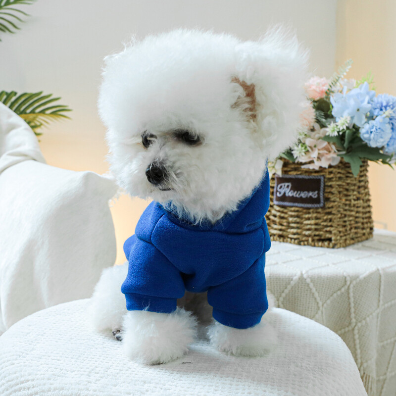 1 vnt naminių gyvūnėlių drabužiai pavasario ir rudens aksominės mėlynos spalvos „Little Brother Hoodie“ kepuraitė, tinkanti mažiems ir vidutinio dydžio šunims