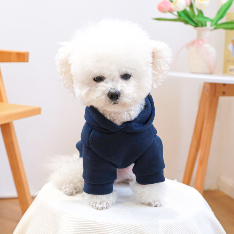 Aš myliu savo mamą. „Haze Blue“ gobtuvas, naminių gyvūnėlių drabužiai, šunų drabužiai, mažų šunų drabužiai, rudens ir žiemos stiliai, šilta ir patogu