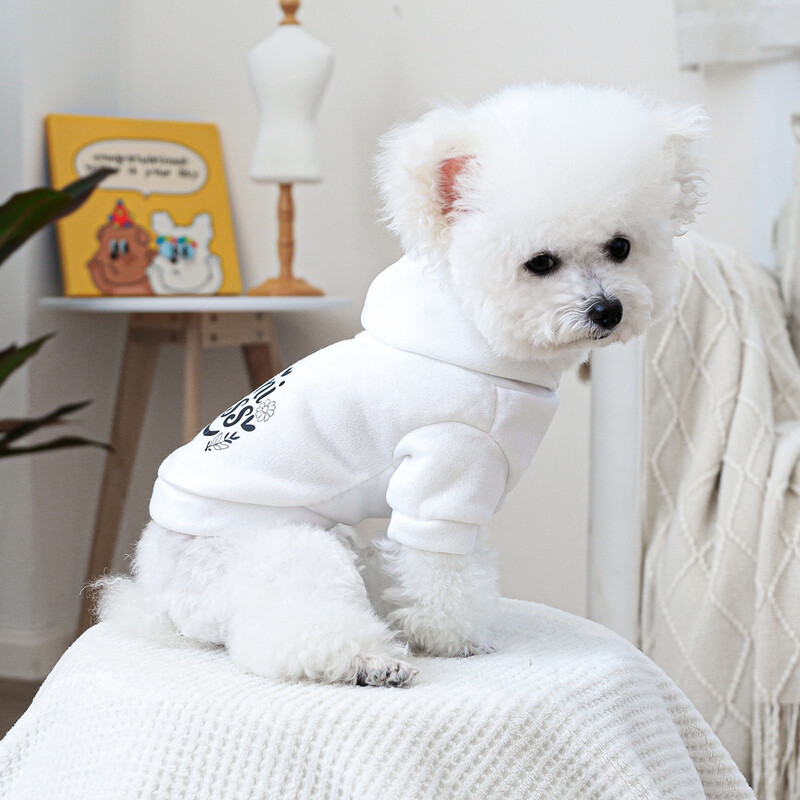 Hanorac cu glugă, toamnă iarnă pentru animale de companie, haine drăguțe de buzunar, haine pentru câini, pisici, cu pălărie, hanorac alb, haine pentru câini pentru câini de talie mică