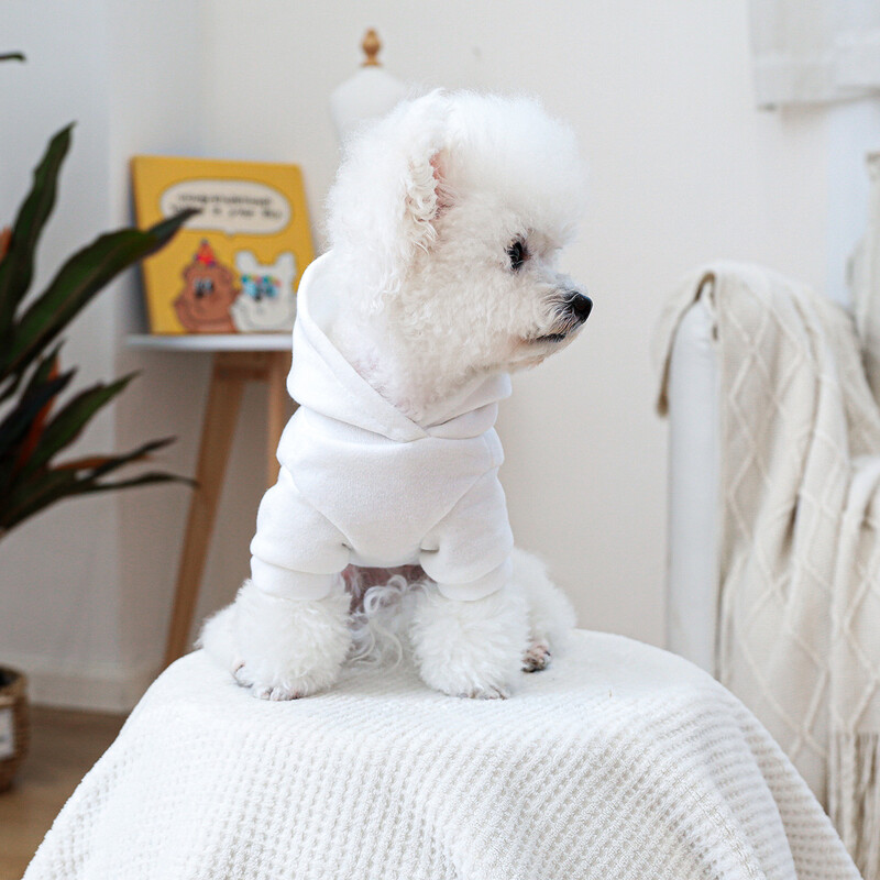 Hanorac cu glugă, toamnă iarnă pentru animale de companie, haine drăguțe de buzunar, haine pentru câini, pisici, cu pălărie, hanorac alb, haine pentru câini pentru câini de talie mică