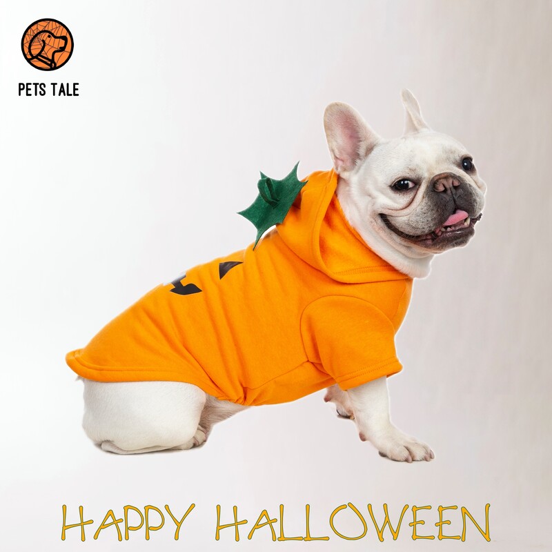 Mikina s kapucňou s tekvicou a psíkom na Halloween - roztomilý dizajn s jack-o'-lanternou, kapucňou z listov a otvorom na vodítko