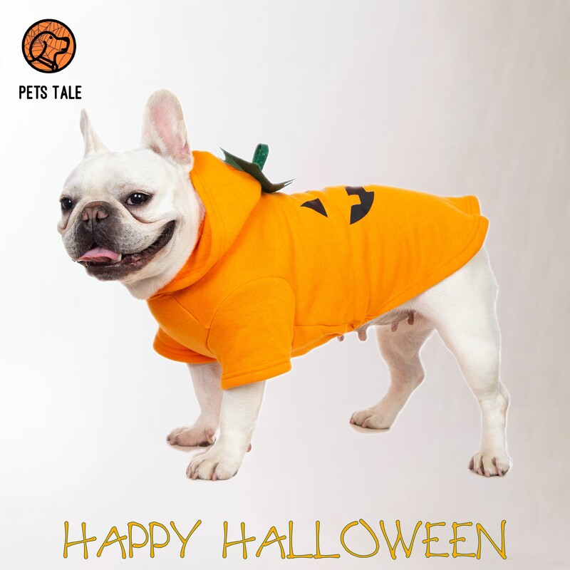 Mikina s kapucňou s tekvicou a psíkom na Halloween - roztomilý dizajn s jack-o'-lanternou, kapucňou z listov a otvorom na vodítko