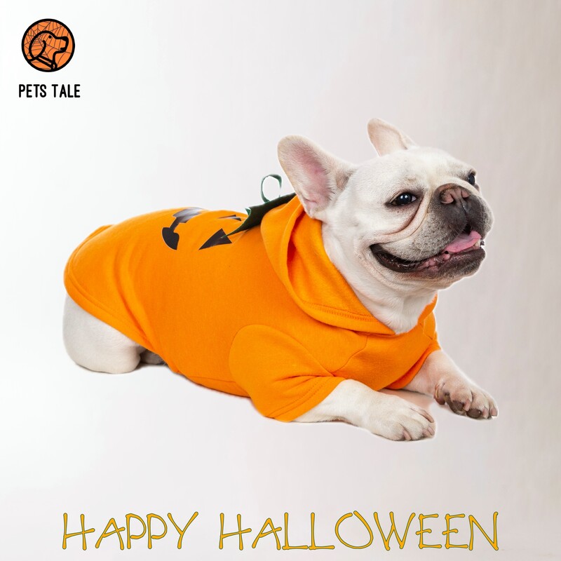 Mikina s kapucňou s tekvicou a psíkom na Halloween - roztomilý dizajn s jack-o'-lanternou, kapucňou z listov a otvorom na vodítko