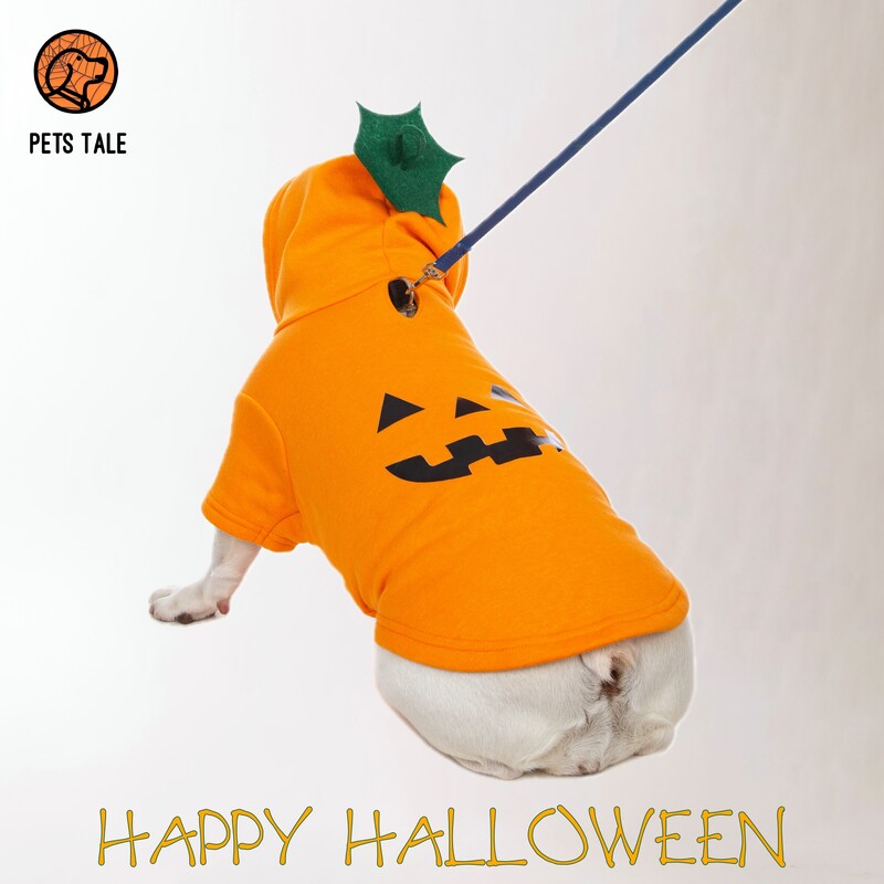 Mikina s kapucňou s tekvicou a psíkom na Halloween - roztomilý dizajn s jack-o'-lanternou, kapucňou z listov a otvorom na vodítko