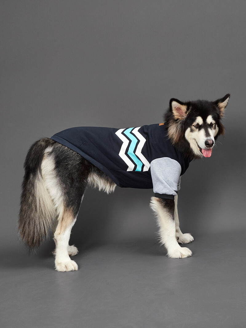 Dog Hoodie Banguota linija mažiems šunims Patogus kostiumas šuniukas su šunų naminių gyvūnėlių drabužiais kačių drabužiais