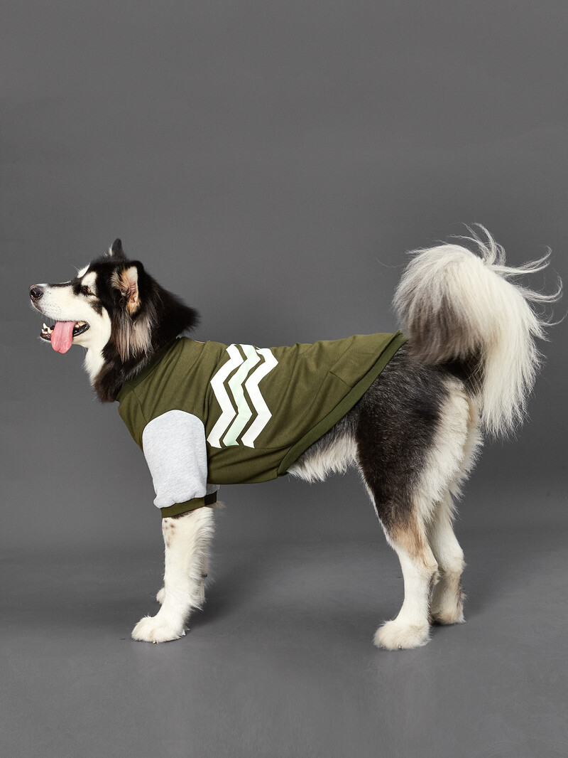 Dog Hoodie Banguota linija mažiems šunims Patogus kostiumas šuniukas su šunų naminių gyvūnėlių drabužiais kačių drabužiais
