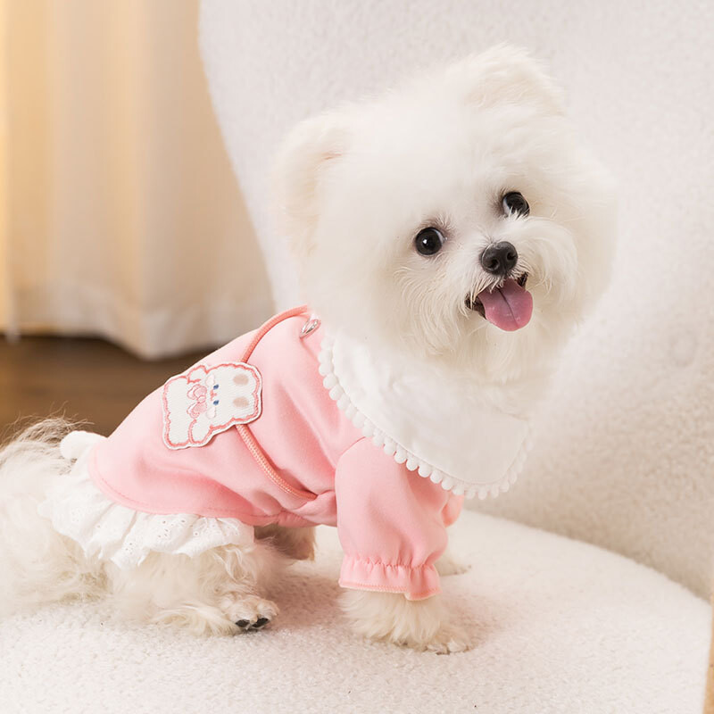 Haine pentru câini din desene animate, papion drăguț, ghiozdan, îmbrăcăminte pentru animale de companie pentru câini de talie mică, costume pentru cățeluș, haină, pulover cald de pluș Chihuahua