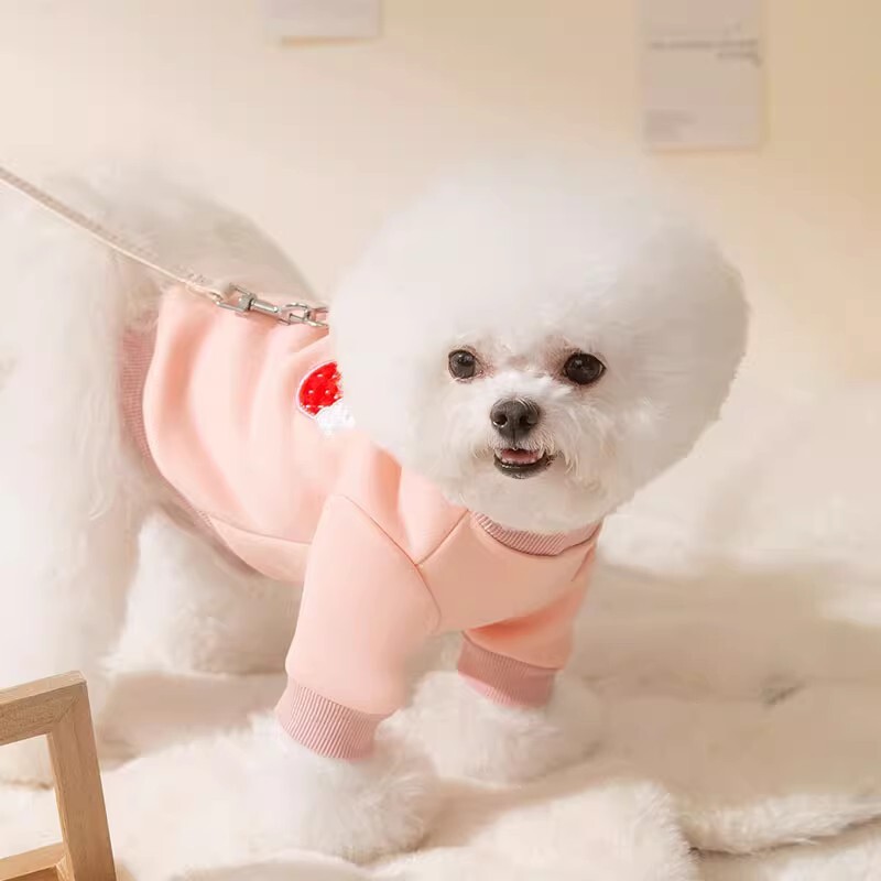 Haine pentru câini din desene animate, papion drăguț, ghiozdan, îmbrăcăminte pentru animale de companie pentru câini de talie mică, costume pentru cățeluș, haină, pulover cald de pluș Chihuahua