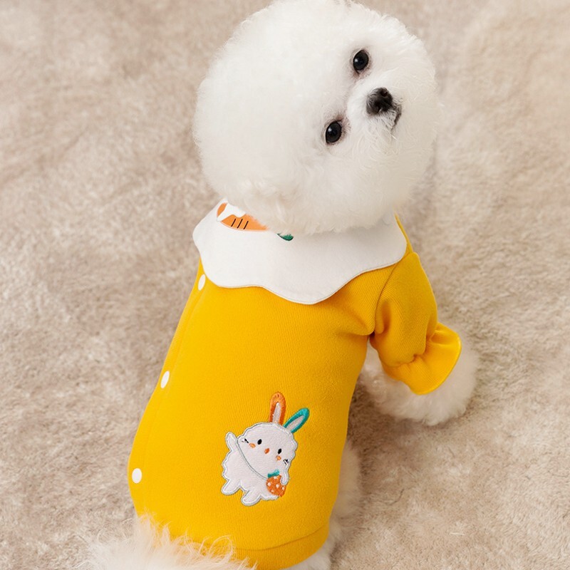 Haine pentru câini din desene animate, papion drăguț, ghiozdan, îmbrăcăminte pentru animale de companie pentru câini de talie mică, costume pentru cățeluș, haină, pulover cald de pluș Chihuahua