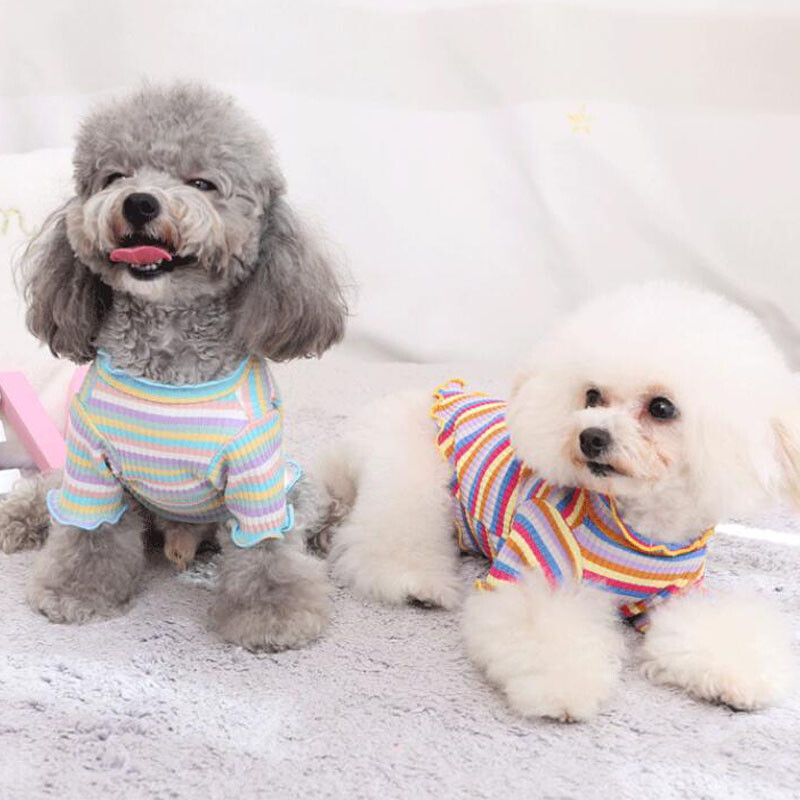 Raudoni megzti naminiams gyvūnėliams skirti drabužiai, šunų gobtuvai, megztiniai prancūzų buldogui, mopso vaivorykštės šuniuko drabužiai, apatiniai marškinėliai, pavasaris, vasara