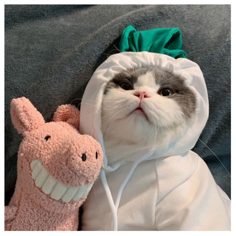 Toamnă Iarnă Câini Haine Hanoracă Cald Plus Fleece Drăguț Portocaliu Morcovi Broasca Verde Cățeluș Mici Mijlocii Câini Chihuahua Hanorac