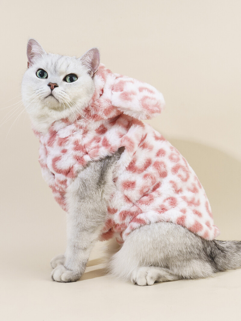 Drabužiai naminiams gyvūnėliams šunims katėms šuniukui su miela ausine kepure, neryškaus paltuko megztiniai, šunų komplektai mažam ir vidutiniam šuniui rudens žiemai