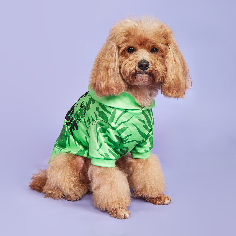 Hanoră pentru câini Haină caldă pentru câini Hanorac pentru cățeluș OOGIE BOOGIE Litere imprimate Crăciun Halloween Costum pentru câine Iarnă Haine pentru câini Animal de companie A