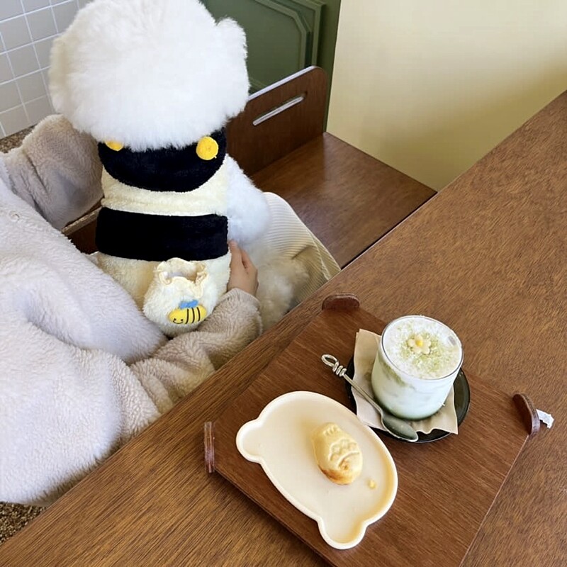 Bitės naminių gyvūnėlių persirengimo apranga Meškiukas Žieminiai Drabužiai Meškiukai Šiltas Megztinis Pomeranian Šalčiui atsparūs dviejų kojų drabužiai šuniukas Animacinis džemperis