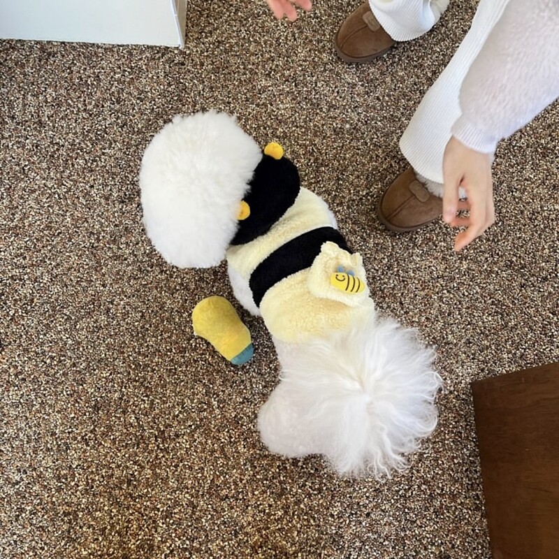 Bitės naminių gyvūnėlių persirengimo apranga Meškiukas Žieminiai Drabužiai Meškiukai Šiltas Megztinis Pomeranian Šalčiui atsparūs dviejų kojų drabužiai šuniukas Animacinis džemperis