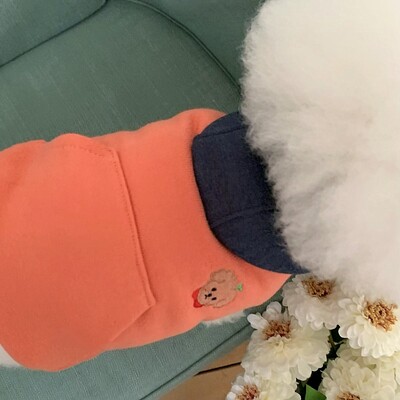 Dvojfarebné patchworkové oblečenie pre psov, zimná mikina s kapucňou, teplá mikina s kapucňou, oblečenie pre pudelov na dvoch nohách, mäkké oblečenie pre maltézskeho psa