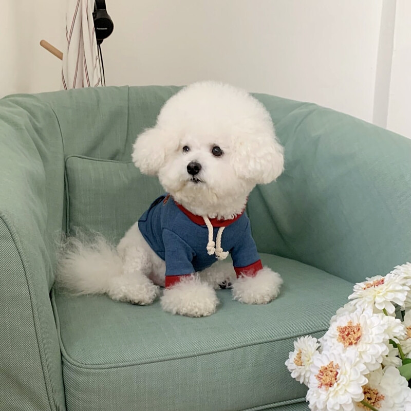 Dvojfarebné patchworkové oblečenie pre psov, zimná mikina s kapucňou, teplá mikina s kapucňou, oblečenie pre pudelov na dvoch nohách, mäkké oblečenie pre maltézskeho psa