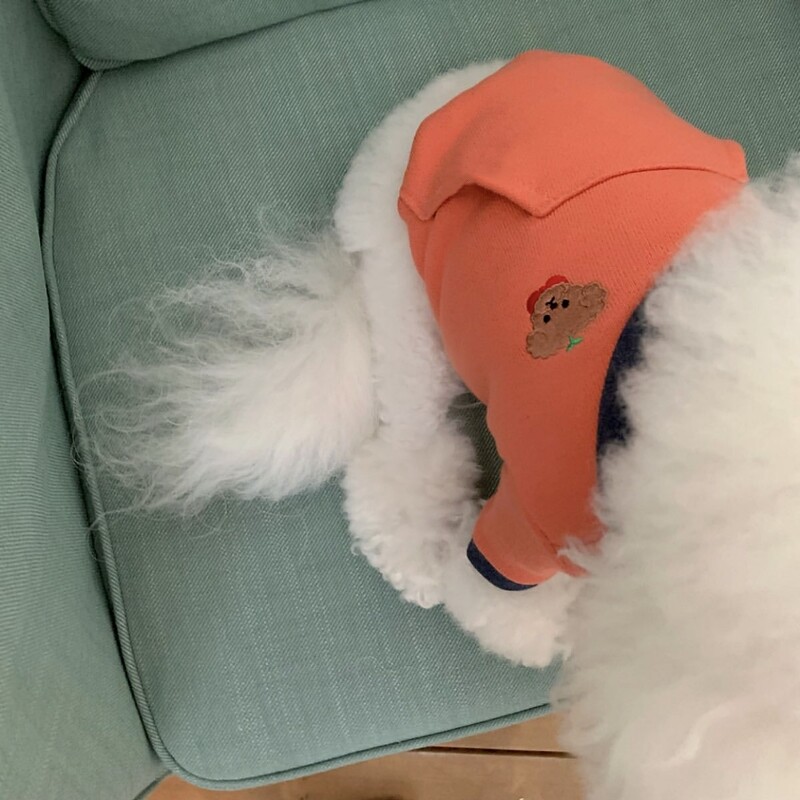 Dvojfarebné patchworkové oblečenie pre psov, zimná mikina s kapucňou, teplá mikina s kapucňou, oblečenie pre pudelov na dvoch nohách, mäkké oblečenie pre maltézskeho psa