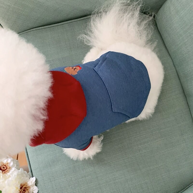 Dvojfarebné patchworkové oblečenie pre psov, zimná mikina s kapucňou, teplá mikina s kapucňou, oblečenie pre pudelov na dvoch nohách, mäkké oblečenie pre maltézskeho psa