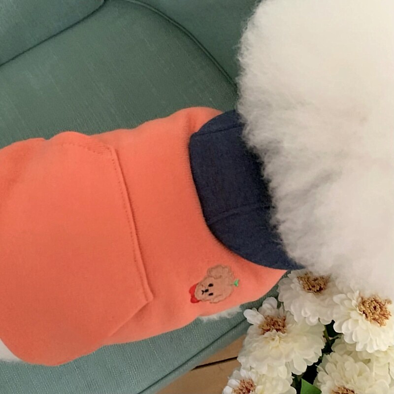 Dvojfarebné patchworkové oblečenie pre psov, zimná mikina s kapucňou, teplá mikina s kapucňou, oblečenie pre pudelov na dvoch nohách, mäkké oblečenie pre maltézskeho psa