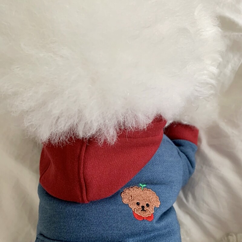 Dvojfarebné patchworkové oblečenie pre psov, zimná mikina s kapucňou, teplá mikina s kapucňou, oblečenie pre pudelov na dvoch nohách, mäkké oblečenie pre maltézskeho psa