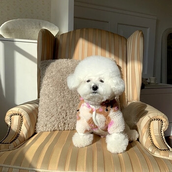 Rabbit Pet Dog με κουκούλα Fleece Παλτό Winter Bichon Ρούχα Ζεστό βαμβακερό παλτό Μικρό σκυλί χοντρό ζακέτα Χριστουγεννιάτικα ρούχα για κουτάβι