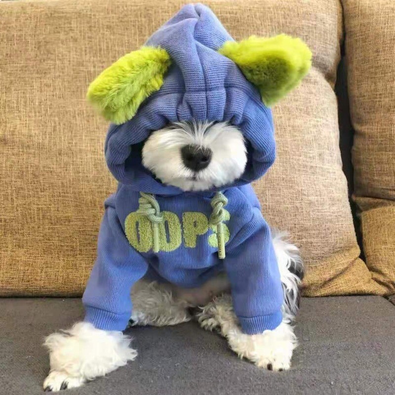 Šunų drabužiai rudens ir žiemos šnauceris meškiukas meškiukas Vidutinis ir mažas šunų pliušinis šiltas megztinis su gobtuvu