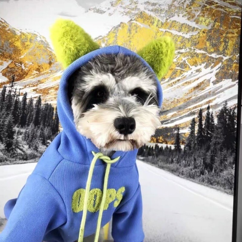 Šunų drabužiai rudens ir žiemos šnauceris meškiukas meškiukas Vidutinis ir mažas šunų pliušinis šiltas megztinis su gobtuvu
