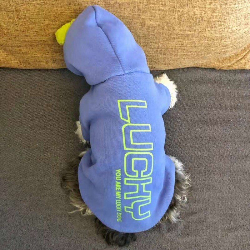 Šunų drabužiai rudens ir žiemos šnauceris meškiukas meškiukas Vidutinis ir mažas šunų pliušinis šiltas megztinis su gobtuvu