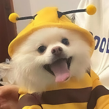 Bee Pet Puppy Coat Apparel Outfit Fleece Clothes Dog Cat Hoodie Изискан костюм Хелоуин Cosplay Pulover Dog Hoodie