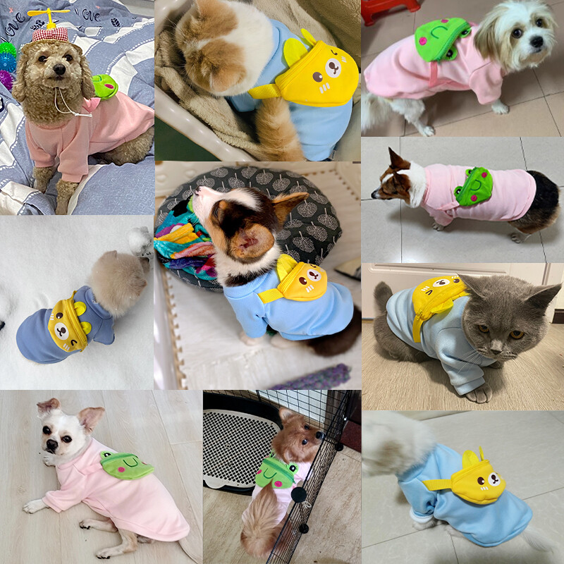 Divat Kutya Ingek Aranyos Béka Medve Uzsonnatáska Pulcsi Chihuahua Yorkie Lélegző Puha Pulóver Kölyökkutya jelmez Kisállat ruházat