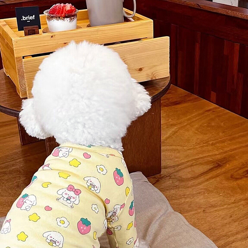 Bixin Pets Botting Krekls Suņu apģērbs Rudens Tedijs Bišons Jorkšīras Pomerānijas Kaķēns Kaķis Rudens un ziemas apģērbs