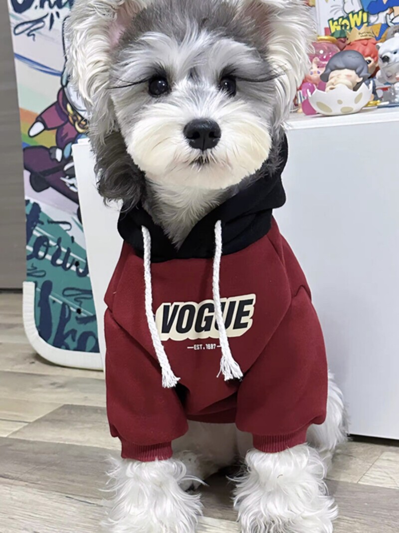 Čihuahua Mopso kostiumai Jorkšyro marškinėliai, Šuns marškinėliai, Vasariniai šunų drabužiai Laisvalaikio drabužiai mažam dideliam šuniui, vasariniai šunų drabužiai