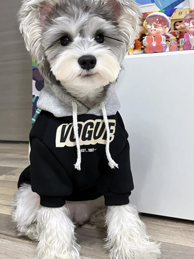 Čihuahua Mopso kostiumai Jorkšyro marškinėliai, Šuns marškinėliai, Vasariniai šunų drabužiai Laisvalaikio drabužiai mažam dideliam šuniui, vasariniai šunų drabužiai