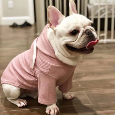 Drabužiai naminiams šunims Mielas triušio ausų dizainas mažiems šunims Kailis žieminiams šunų gobtuvams šuniukų katės drabužiai šunims Mopsas prancūzų buldogas